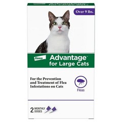 Advantage For Large Cats Flea Treatment – 2 pack