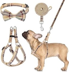 Adjustable No Pull Dog Harness Collar Leash Set – Small Dog – No Pull