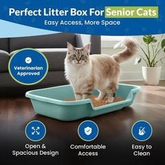 Large Green Open Top Litter Box for Senior Cats – KittyGoHere Comfort Solution
