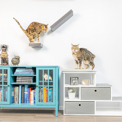 Pet Step Window Perch Bookshelf W/ Storage Baskets |28” Tall Dog & Cat Perch, 8”
