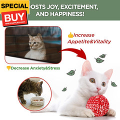 Active Catnip Spray – High Potency Transparent Liquid Spray made of Fresh Organi