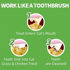 Just Try 16 OZ Cat Treats for Indoor Cats,1 Pound (Pack of 1) Select Flavor Name