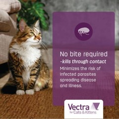 Vectra Feline Green – 9+ lbs – 6 count