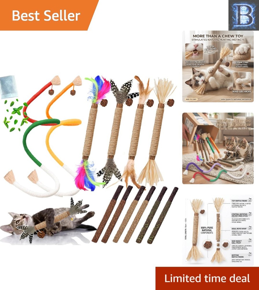 Interactive 12PCS Catnip Chew Toys for Indoor Cats – Dental Health Included