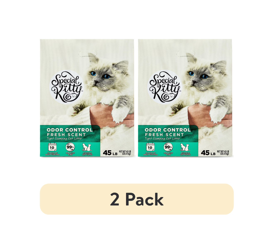 (2 pack) Special Kitty Clumping Clay Cat Litter, Fresh Scent, 45 lbs Box