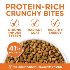 Purina ONE High Protein, Healthy Plus Ideal With 7 Pound (Pack of 1), Brown