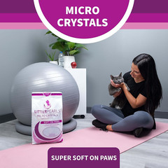 Micro Crystals Unscented Non-Clumping Crystal Cat Litter with Odorbond, 10.5 Pou
