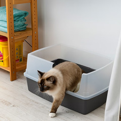 IRIS USA XXL Open Top Side Entry Cat Litter Box High Sides Gray