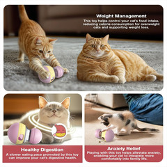 Cat Interactive Adjustable-Treat Dispensing Toys Lifelike Sandpiper Chirp Tweet