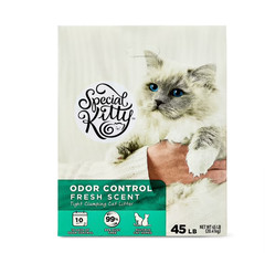 (2 pack) Special Kitty Clumping Clay Cat Litter, Fresh Scent, 45 lbs Box