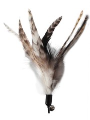 Ecocity Cat Toys – No Chemical Dyeing Cat Feather Toys for Indoor Cats – Include