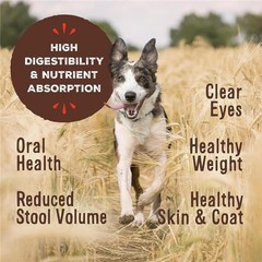 Primal Dog Food Toppers & Cat Toppers, Cupboard 1.13 Pound (Pack of 1)