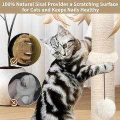 Elegant 25-Inch Cat Scratching Post with Interactive Toys – Protects Furniture