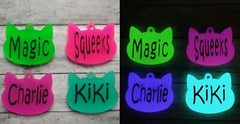 Personalized Resin CAT Tag ID Customized with Name & Phone # UV GLOW IN THE DARK