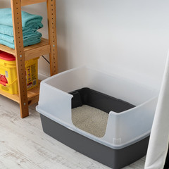 IRIS USA XXL Open Top Side Entry Cat Litter Box High Sides Gray