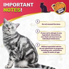 Cat Herbal Drops | No Chemical Antibiotics | Urinary & Respiratory Support 2 Oz