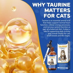 Taurine Supplement for Cats Liquid Drops – Supports Heart, Blue & White