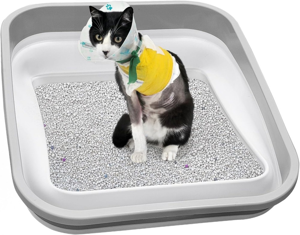 Senior Cat Litter Box Three Legged Arthritic Open Low Entry Sick Frail Handicap
