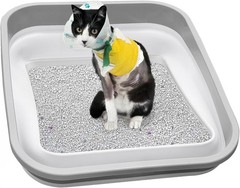 Senior Cat Litter Box Three Legged Arthritic Open Low Entry Sick Frail Handicap