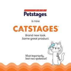 Petstages Squeak Mouse Cat Toy Plush – Included Catnip Interactive Gray