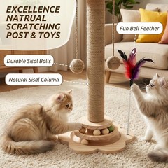 4-in-1 Interactive Cat Scratching Post for Kittens & Small Breeds – Anti-Slip