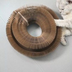No Crumbs Kitty Kurlz Cat Toy Wear-Resistant Cat Scratching Board A+US 2026 =-