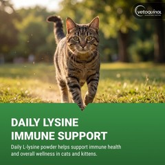Vetoquinol Viralys – Lysine Supplement for Cats & 100 Grams, Premium pack