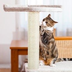 PETUOL 4 PCS M8 Cat Scratching Post Replacement, 15.7 x 3.1 40cm, M8+White01