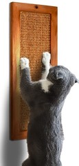 Cat Scratching Post, Wooden Sisal Cats Wall Scratcher, Floor or Wall Mounted …