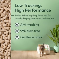 Purina Tidy Cats Breeze Enhanced Active Clean Scent 99.9 Percent Dust Free