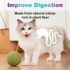 NZLOMXU 3.94 Inches Super Large Catnip Ball Lickable Giant inches, Green