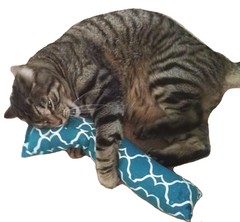 15″ Catnip Cat Kicker Toy (Kicker filled with 1 oz Canadian Catnip)
