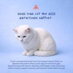 10 in 1 Multivitamin for Cats – L-Lysine, Taurine – Fish Oil & Vitamins for Skin