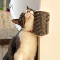 4PCS Self Repair Cat Brush and Interactive Cat Toy Corner Massage Comb Shaver US