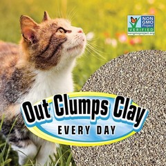 Lightweight 10-Pound Grass-Based Cat Litter – Chemical-Free & 99% Dust-Free