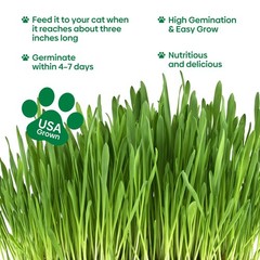 Groundio Cat Grass Seeds, 16OZ Non-GMO Barley, Oats, Wheat, Rye 16 OZ, green
