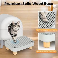 Compact Litter Box Ramp with Mesh Catcher – Easy Clean Design for Elderly Cats