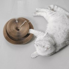 No Crumbs Kitty Kurlz Cat Toy Wear-Resistant Cat Scratching Board New
