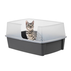 IRIS USA XXL Open Top Side Entry Cat Litter Box High Sides Gray