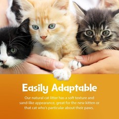 Lightweight 10-Pound Grass-Based Cat Litter – Chemical-Free & 99% Dust-Free