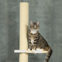 Yellow 87-103 Inch Floor to Ceiling Cat Tree Adjustable Height Ball Toy