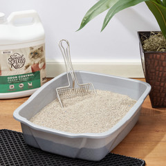 (2 Pack) Scoopable Tight Clumping Cat Litter, Fresh Scent, 20 Lb