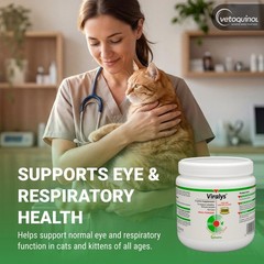Vetoquinol Viralys – Lysine Supplement for Cats & 100 Grams, Premium pack