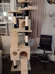New Cat Condo Indoor Big Tower Multi Giant Castle Large Extra Tree Tall 72″ Gift