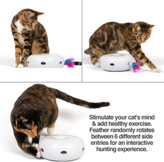 Ambush Interactive Electronic CAT Toy