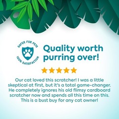 Elegant Dream Curl Carpet & Sisal Cat Scratcher for Healthy Play – All Breeds