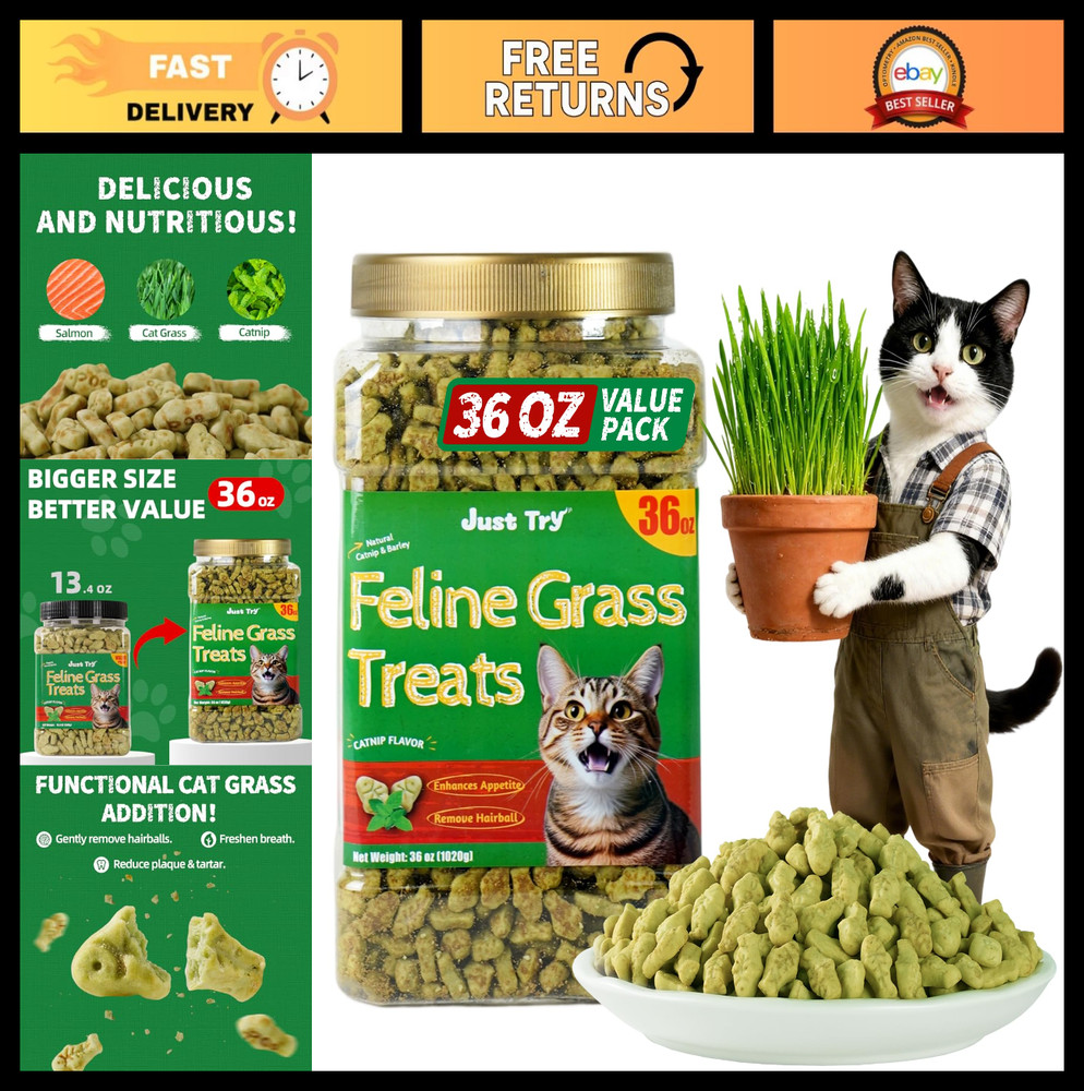 36 OZ Cat Treats for Indoor Cats – Hairball Control, Natural Salmon, Healthy Sna