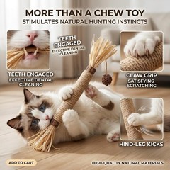 Interactive 12PCS Catnip Chew Toys for Indoor Cats – Dental Health Included