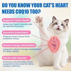 Coenzyme Q10 Cat Treats – Chicken Flavored Soft Chews for Heart Health – 300 Cou