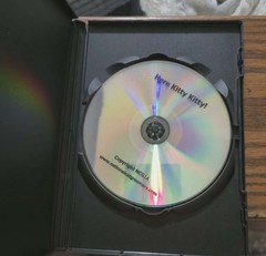 NCGI Cat Grooming DVDs Danelle German Here Kitty Kitty + Kryptonite for Cats…